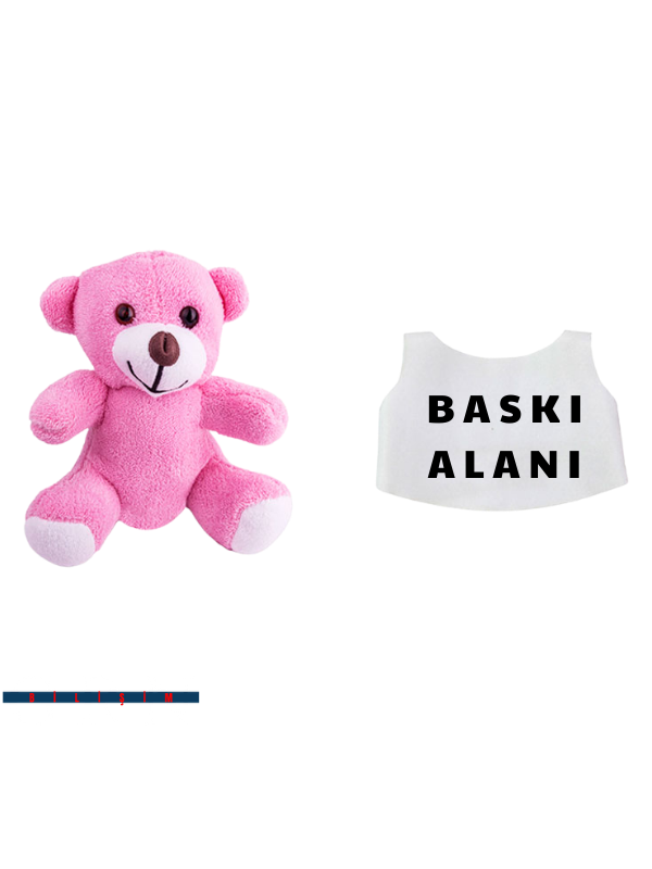 Peluş Pembe Ayı